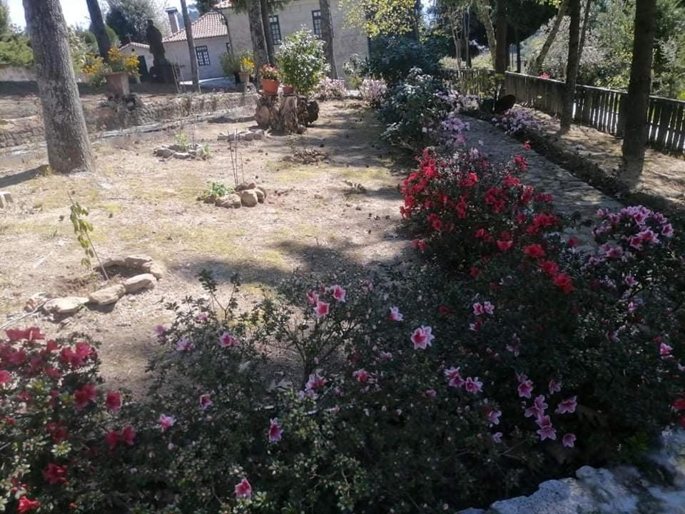 Willa Quinta Da Cartida Santa Marinha do Zêzere Zewnętrze zdjęcie