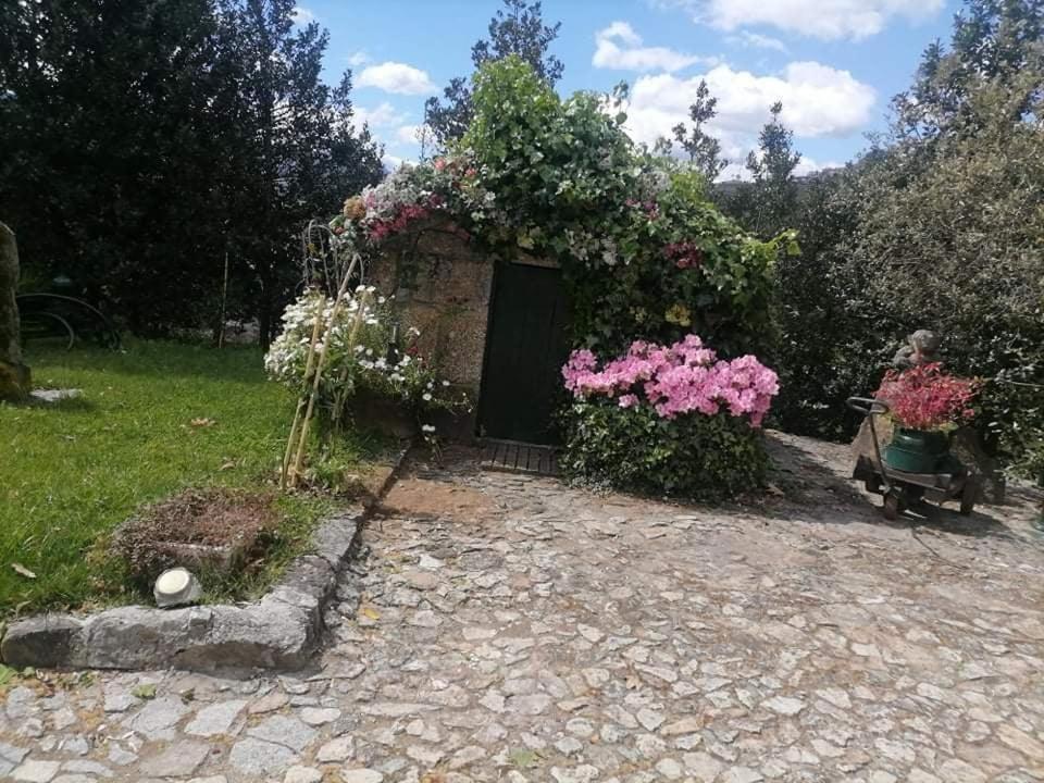 Willa Quinta Da Cartida Santa Marinha do Zêzere Zewnętrze zdjęcie