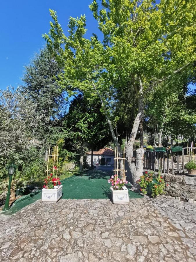 Willa Quinta Da Cartida Santa Marinha do Zêzere Zewnętrze zdjęcie